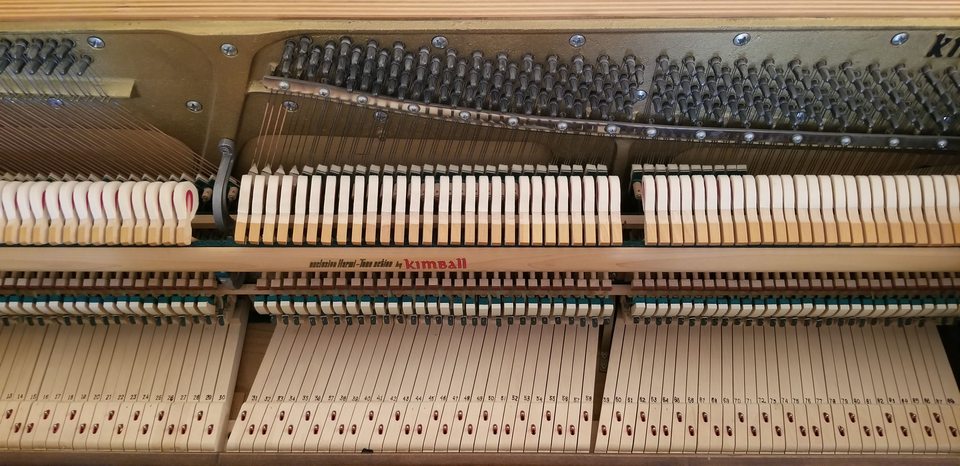 Inside view of a grand piano showing strings, harp, and soundboard in warm wood tones